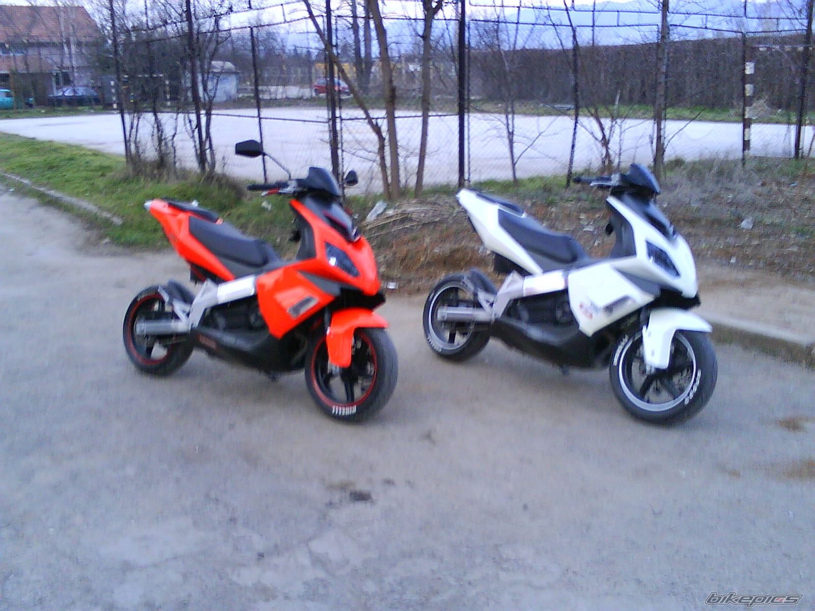 Photo 1593382