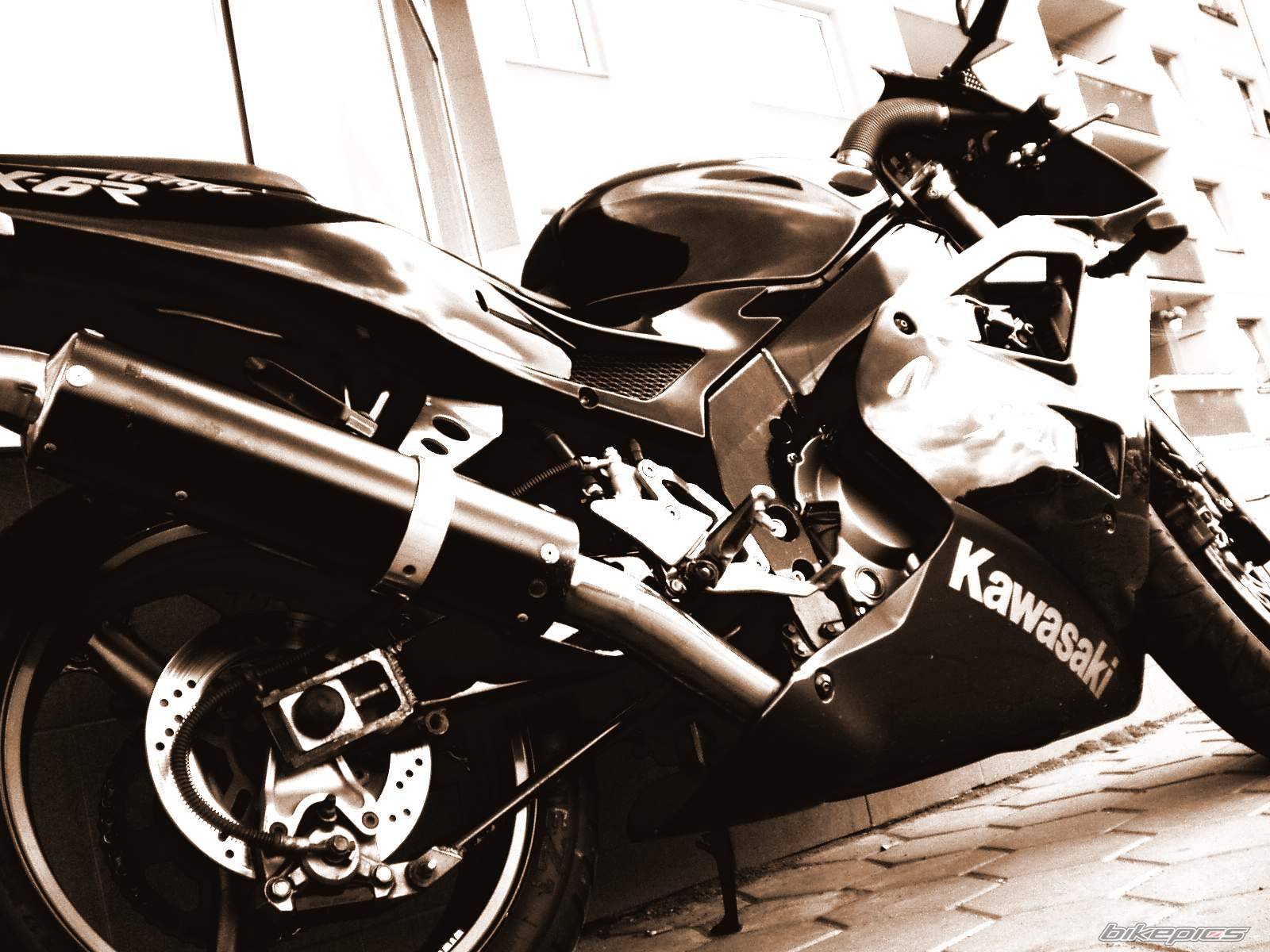 Photo 159346