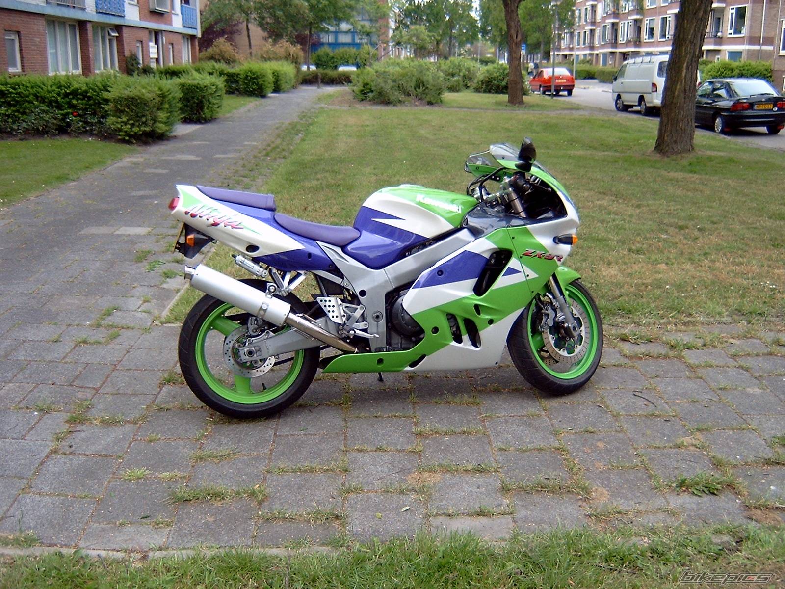 Photo 159355