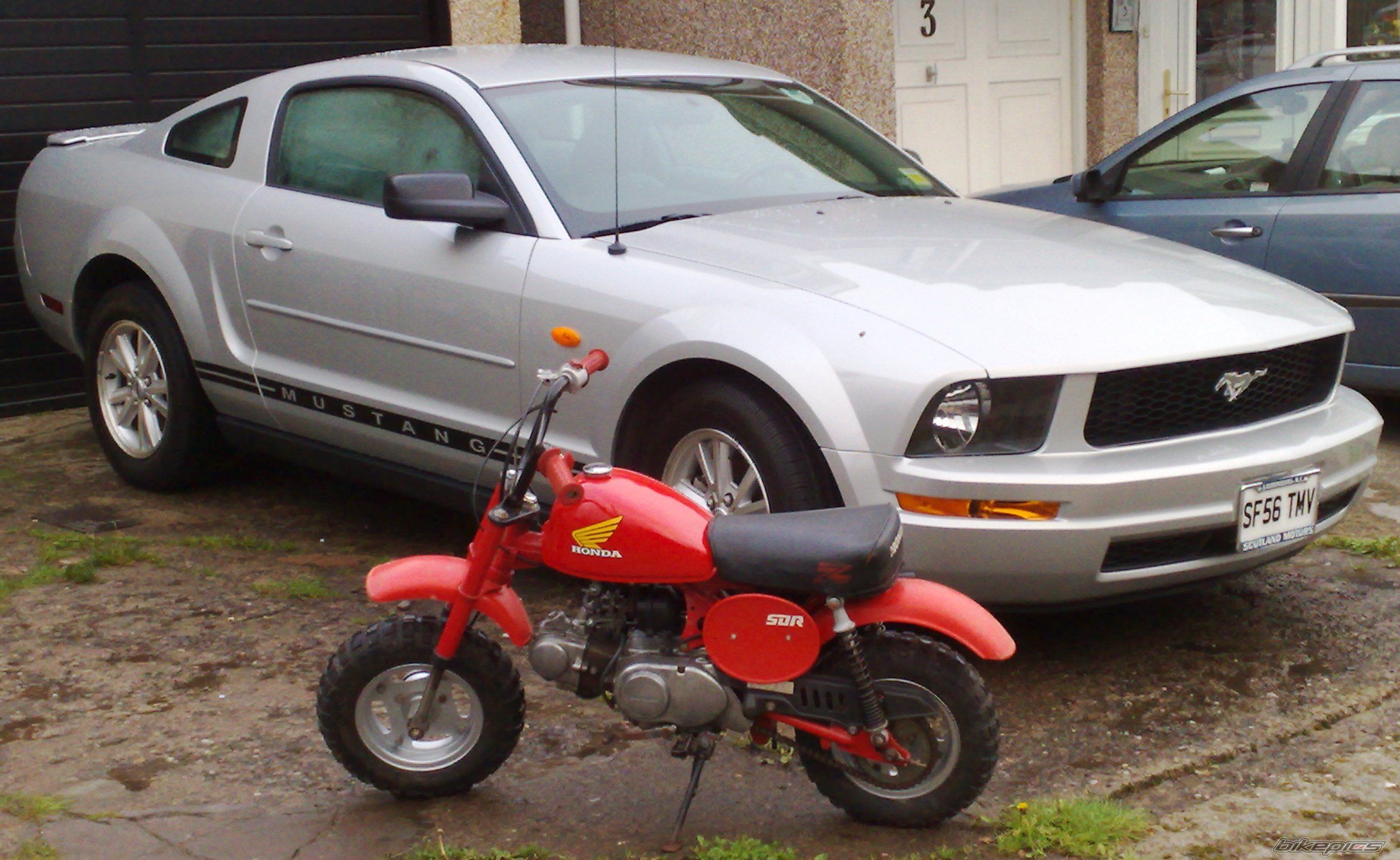 Photo 1593565
