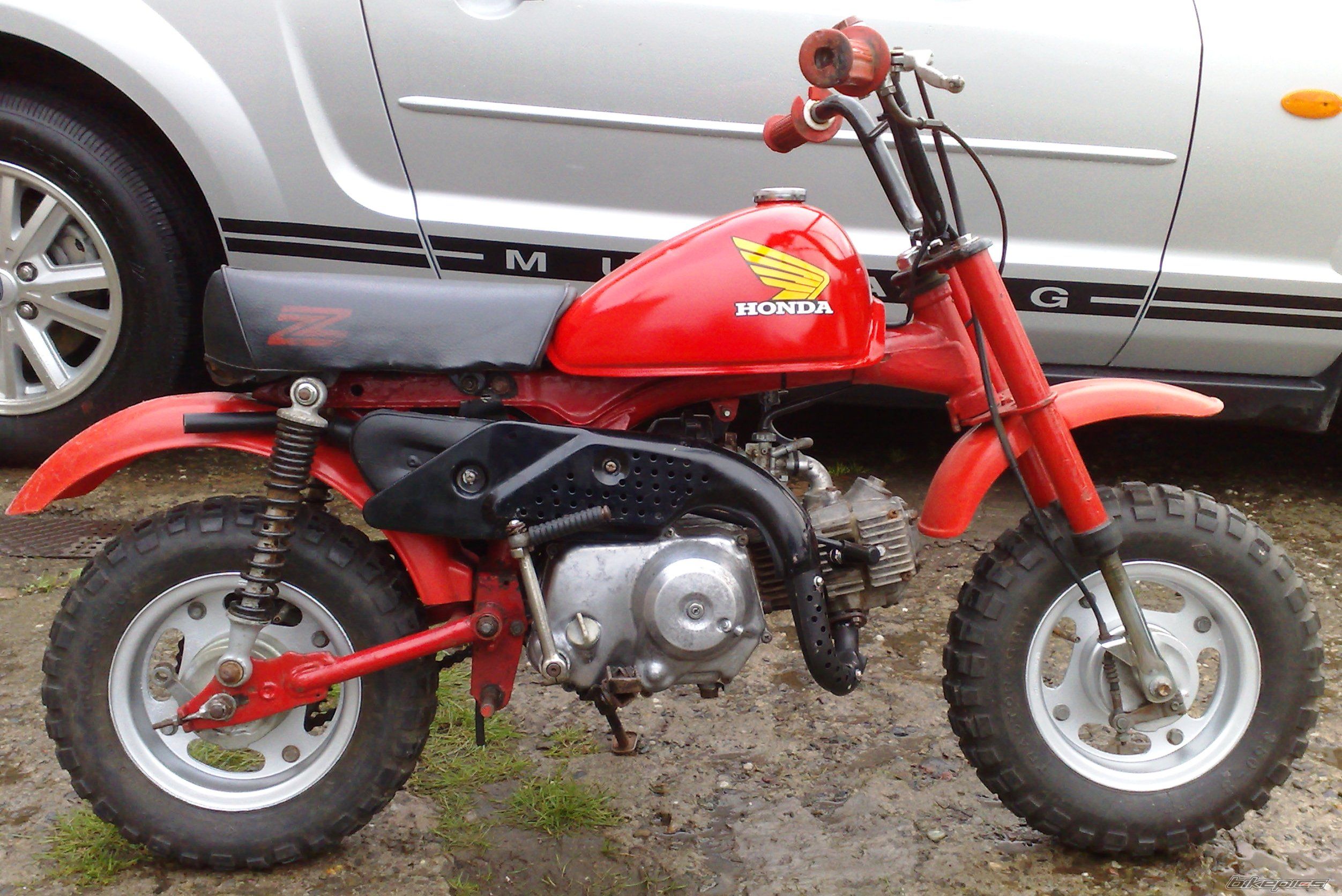Photo 1593568