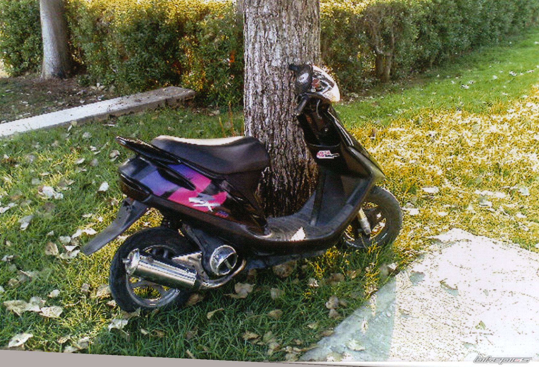 Photo 1593621