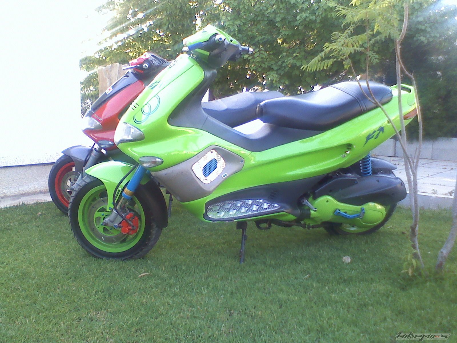 Photo 1593856