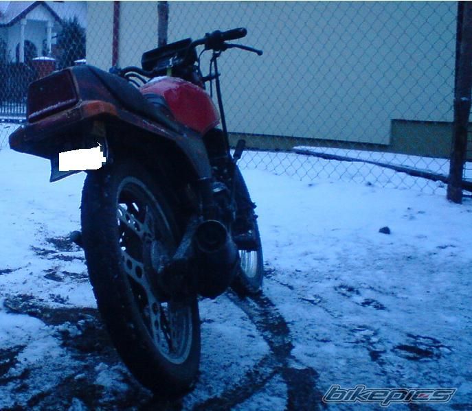 Photo 1593884