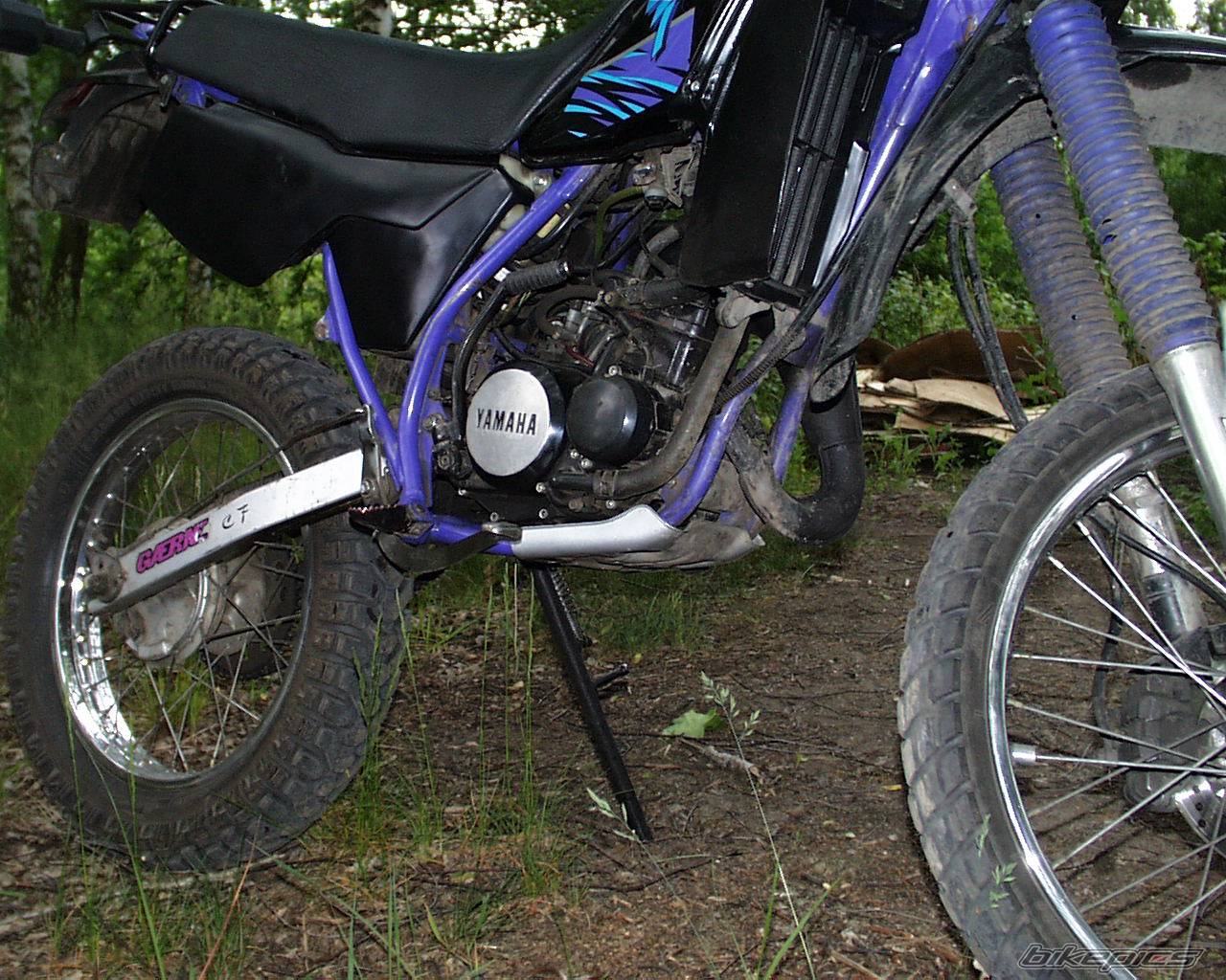 Photo 159404
