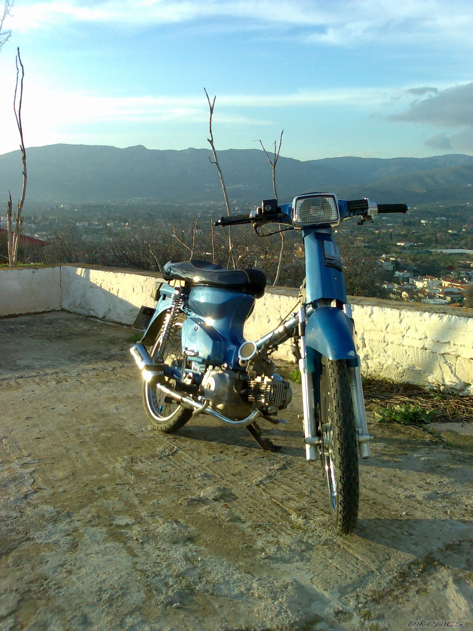 Photo 1594278