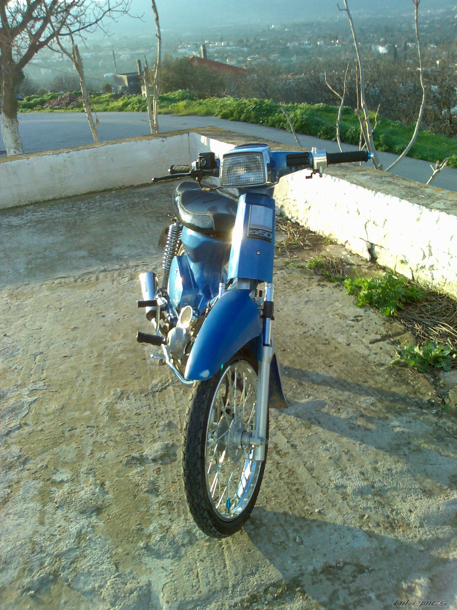 Photo 1594279