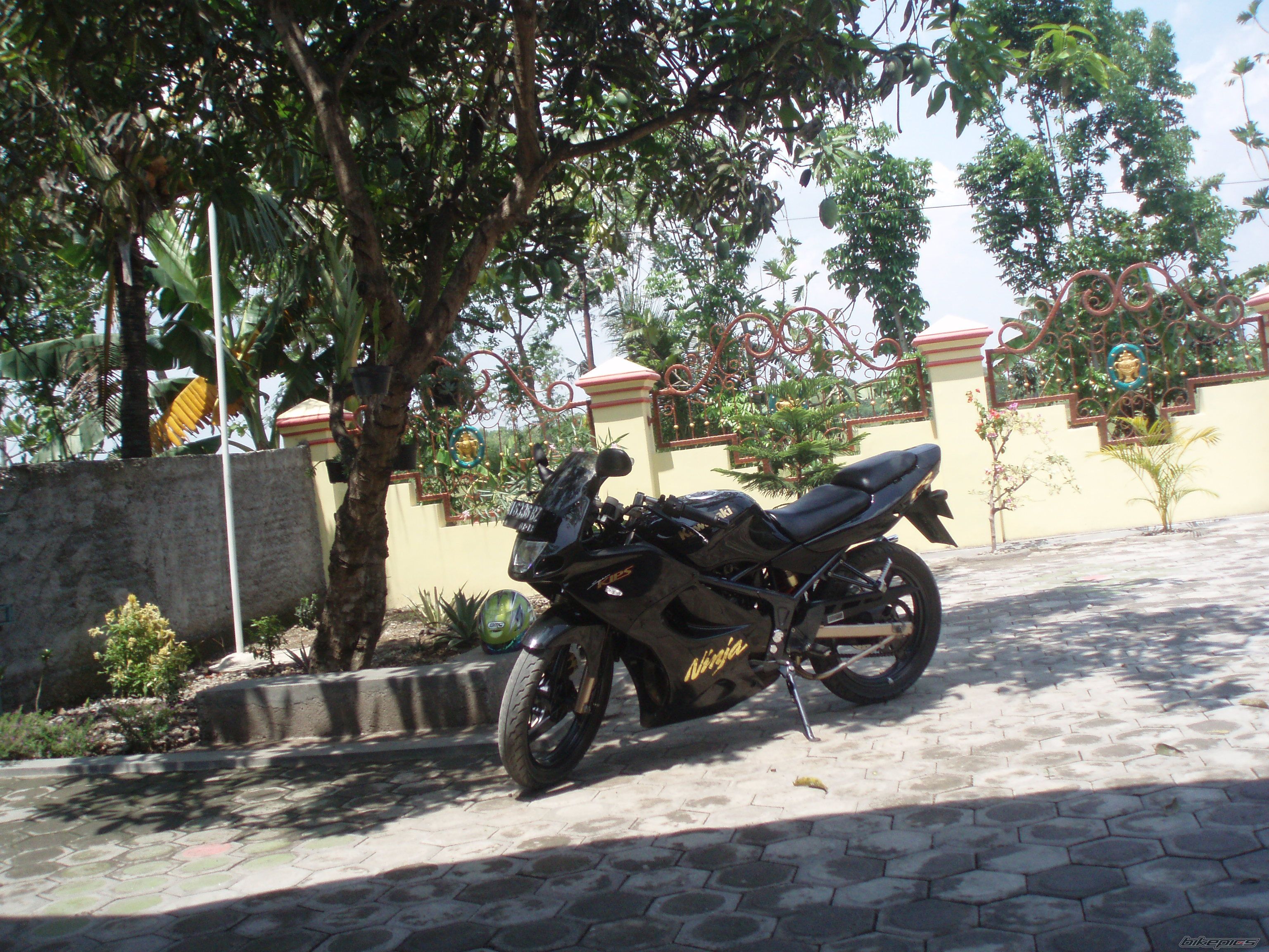 Photo 1594427