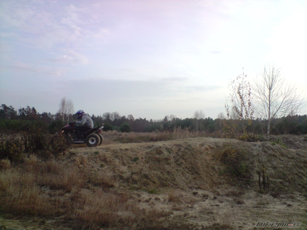 Photo 1594453