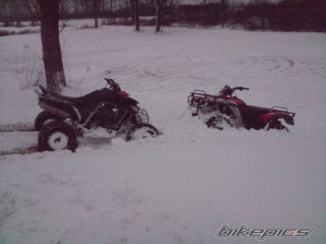 Photo 1594462