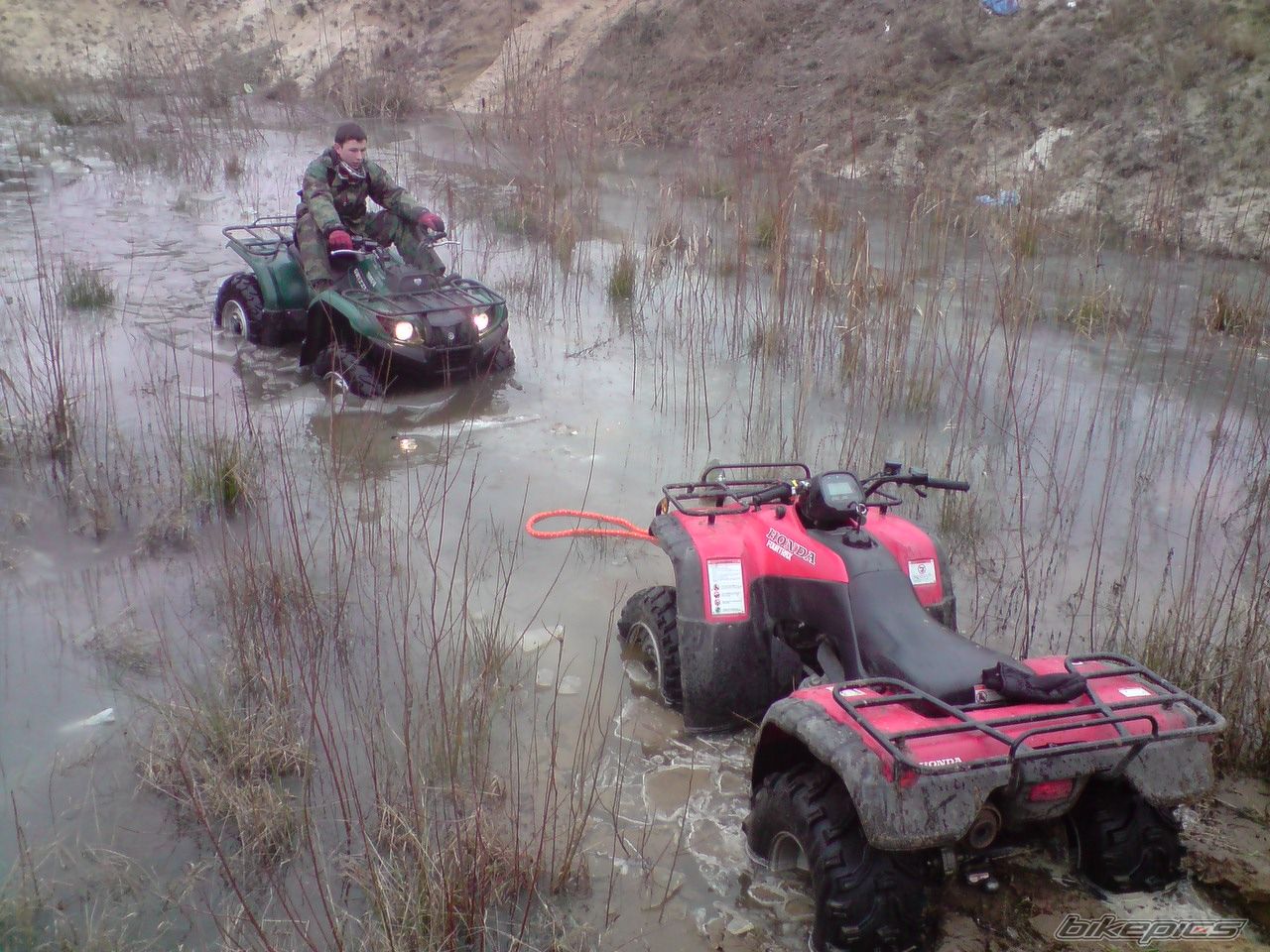 Photo 1594477