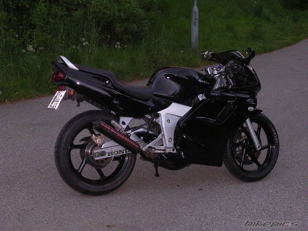 Photo 159455