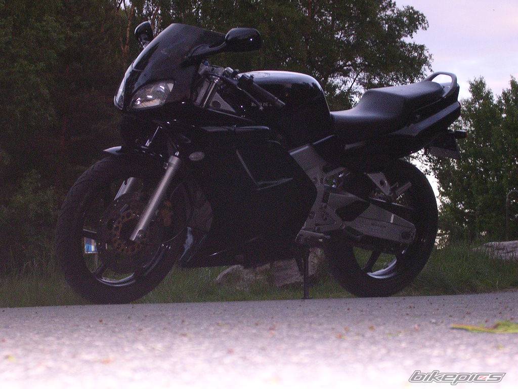Photo 159457