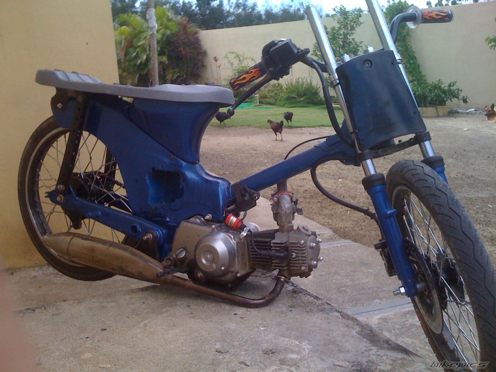 Photo 1594626