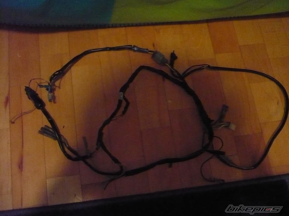 Photo 1594645