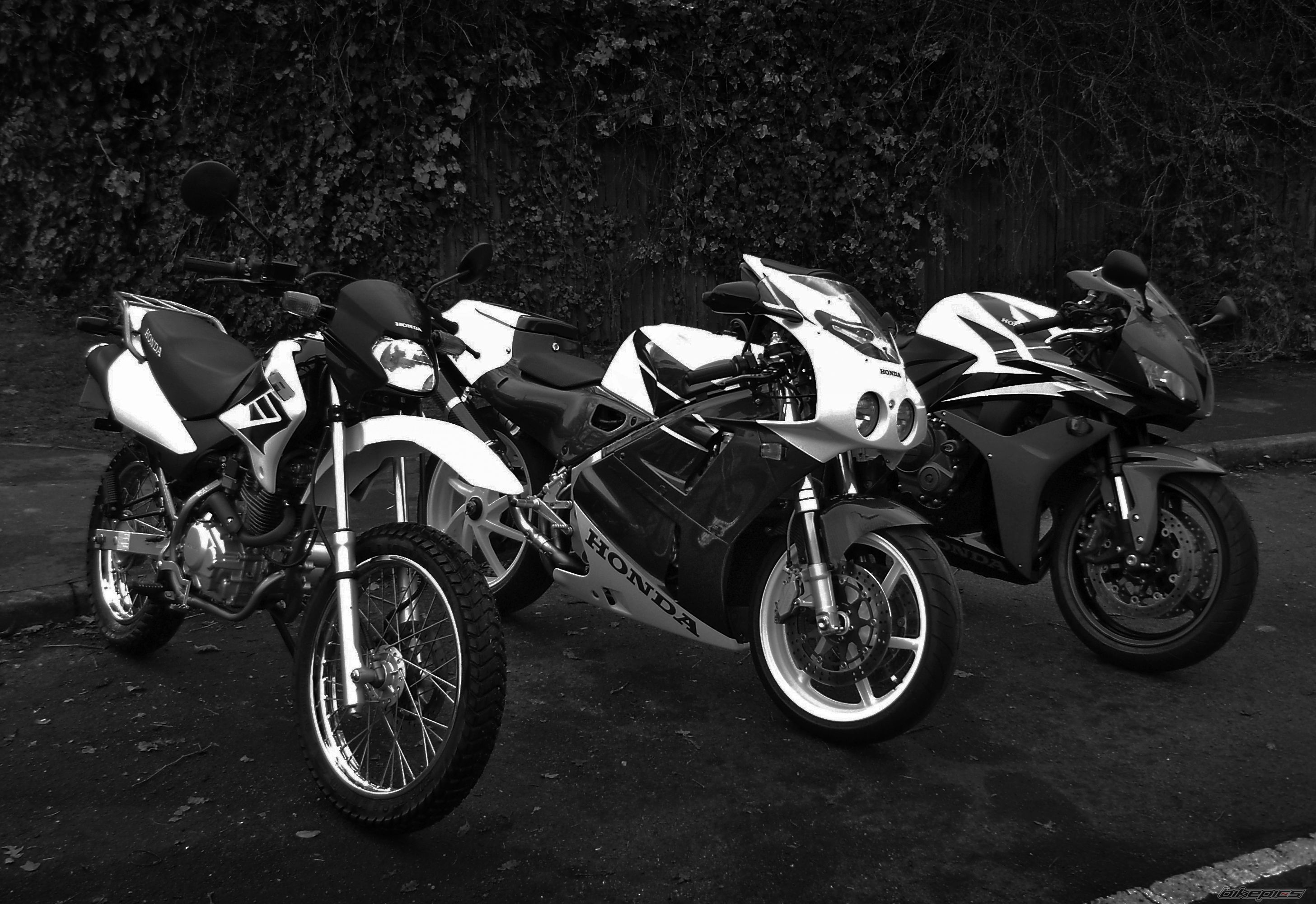 Photo 1594890
