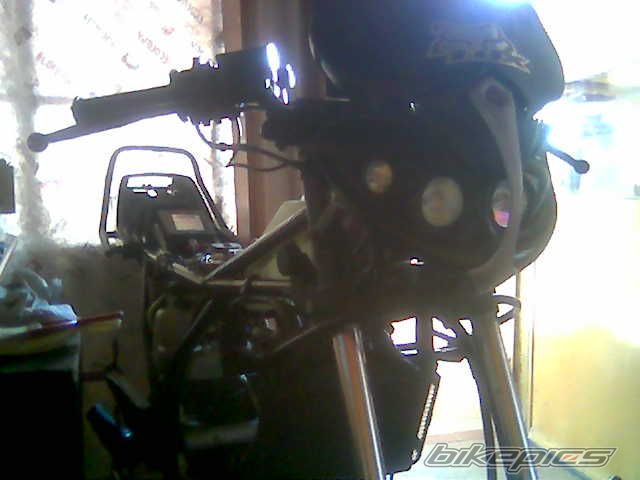 Photo 1595016