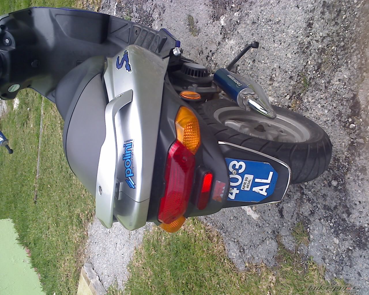 Photo 1595018
