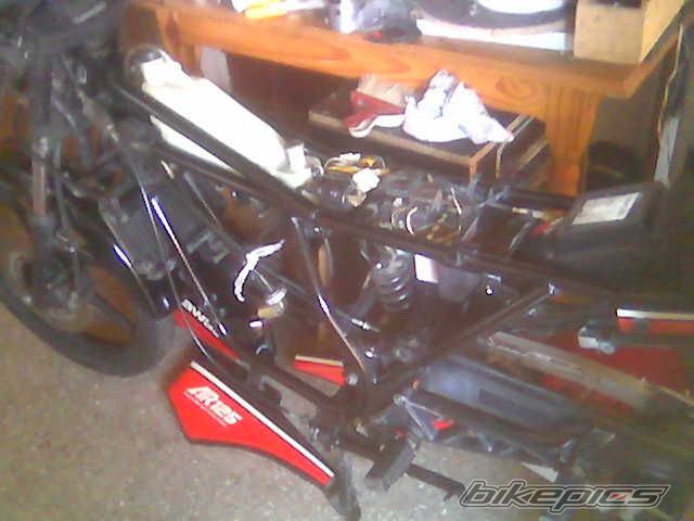 Photo 1595028