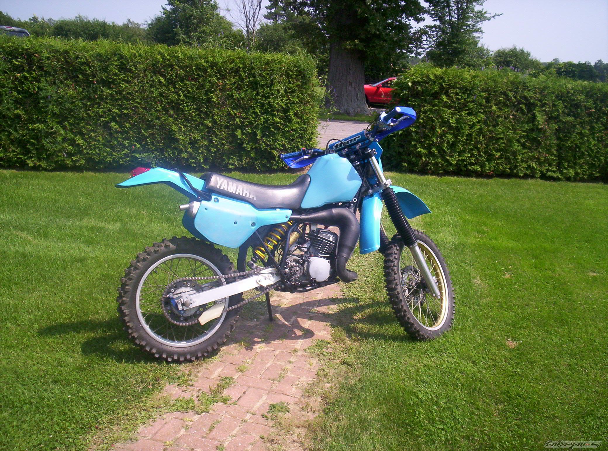 Photo 1595151