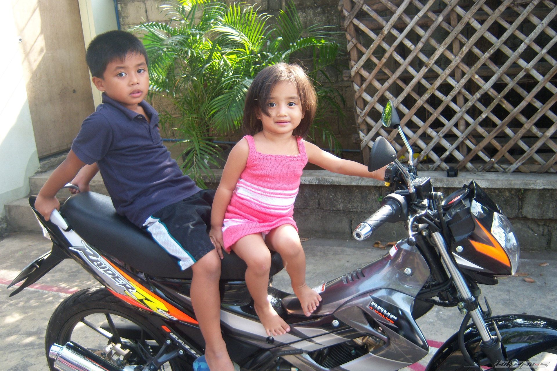 Photo 1595158