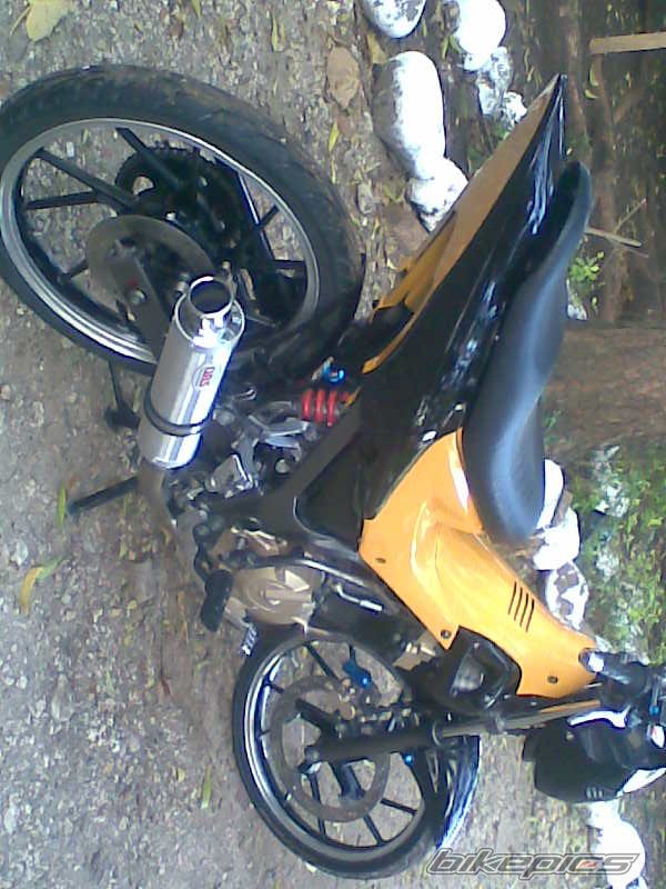 Photo 1595181