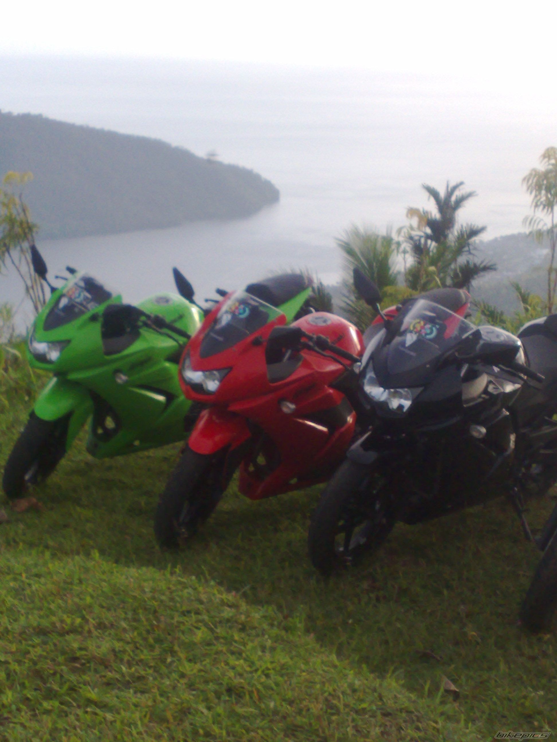 Photo 1595229