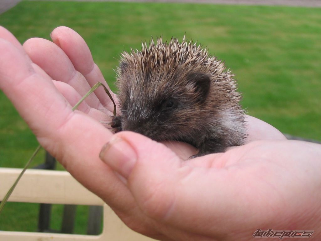 Photo 1595337