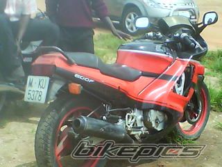 Photo 1595348