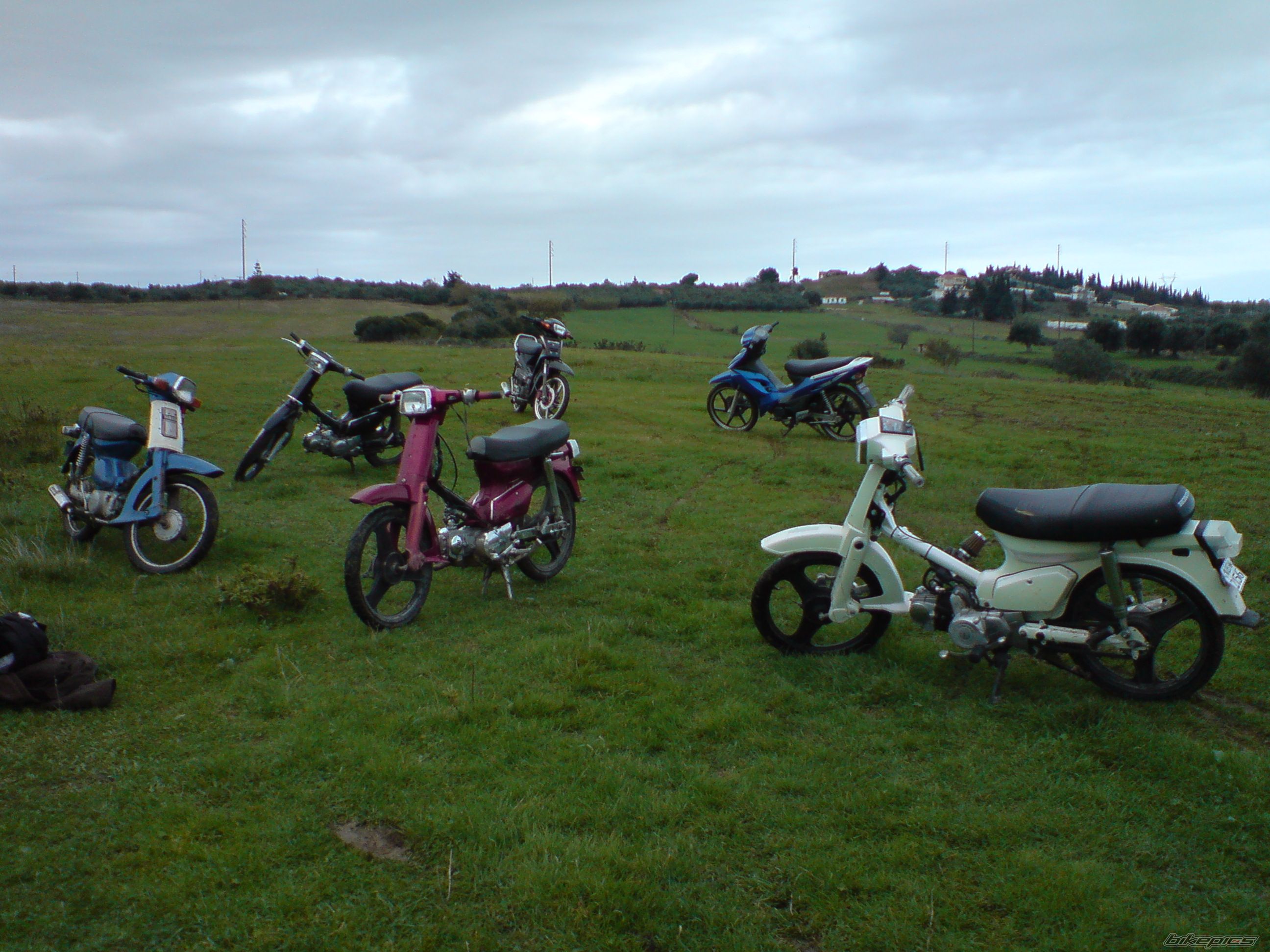 Photo 1595359