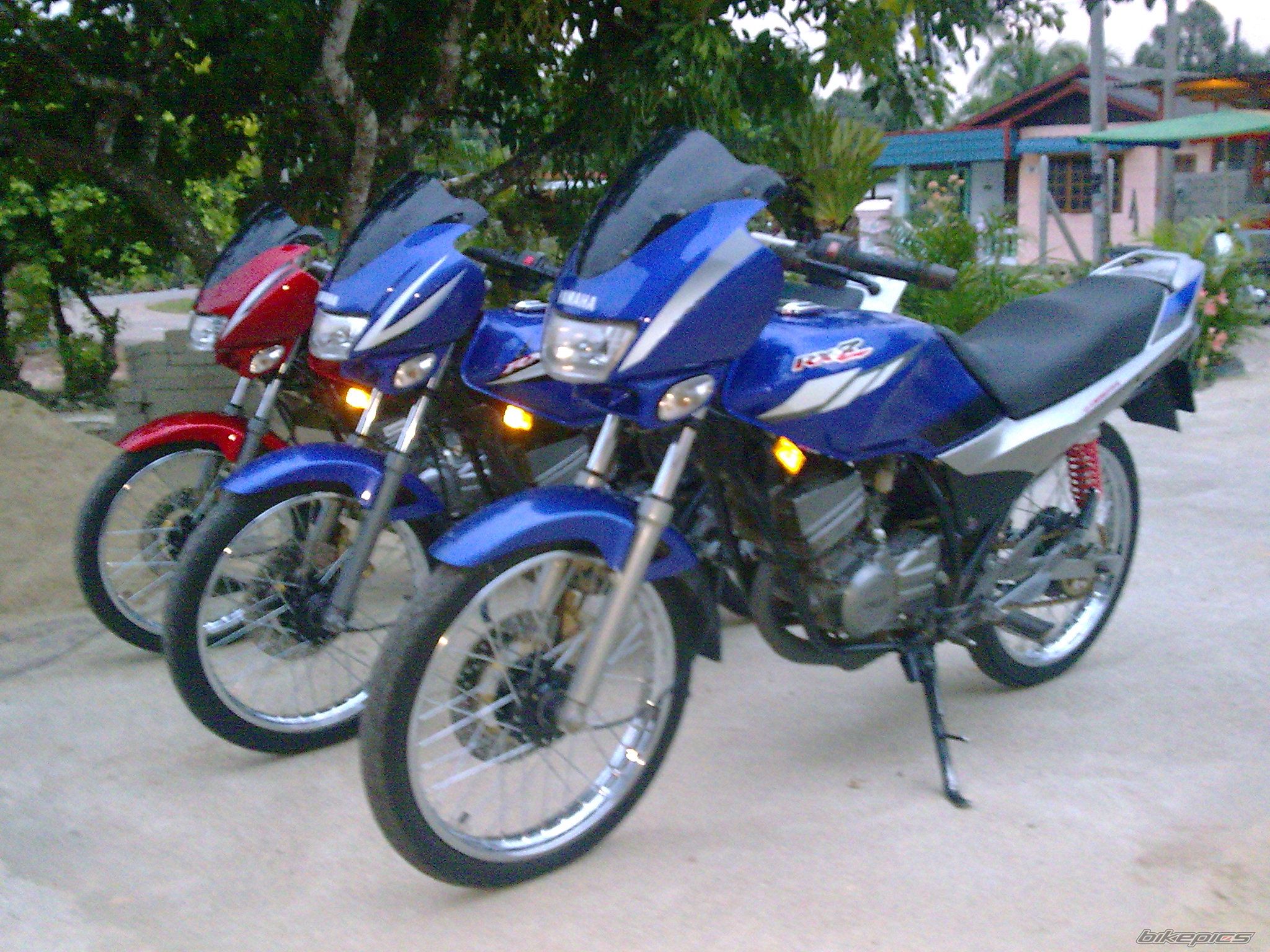 Photo 1595398