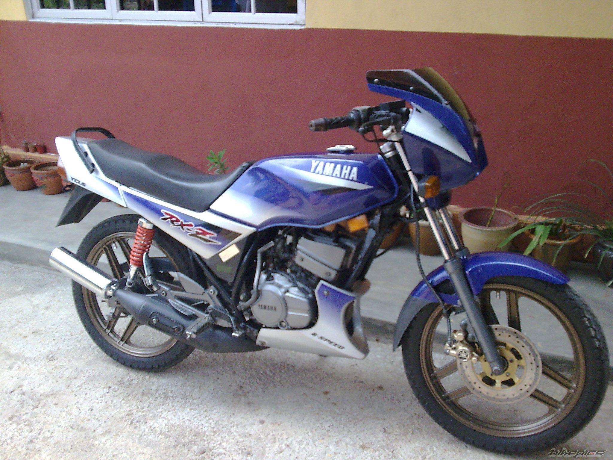 Photo 1595402