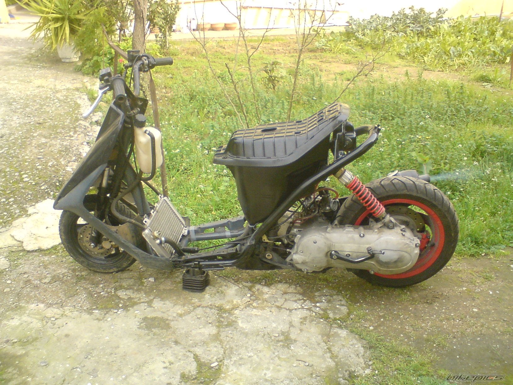 Photo 1595406