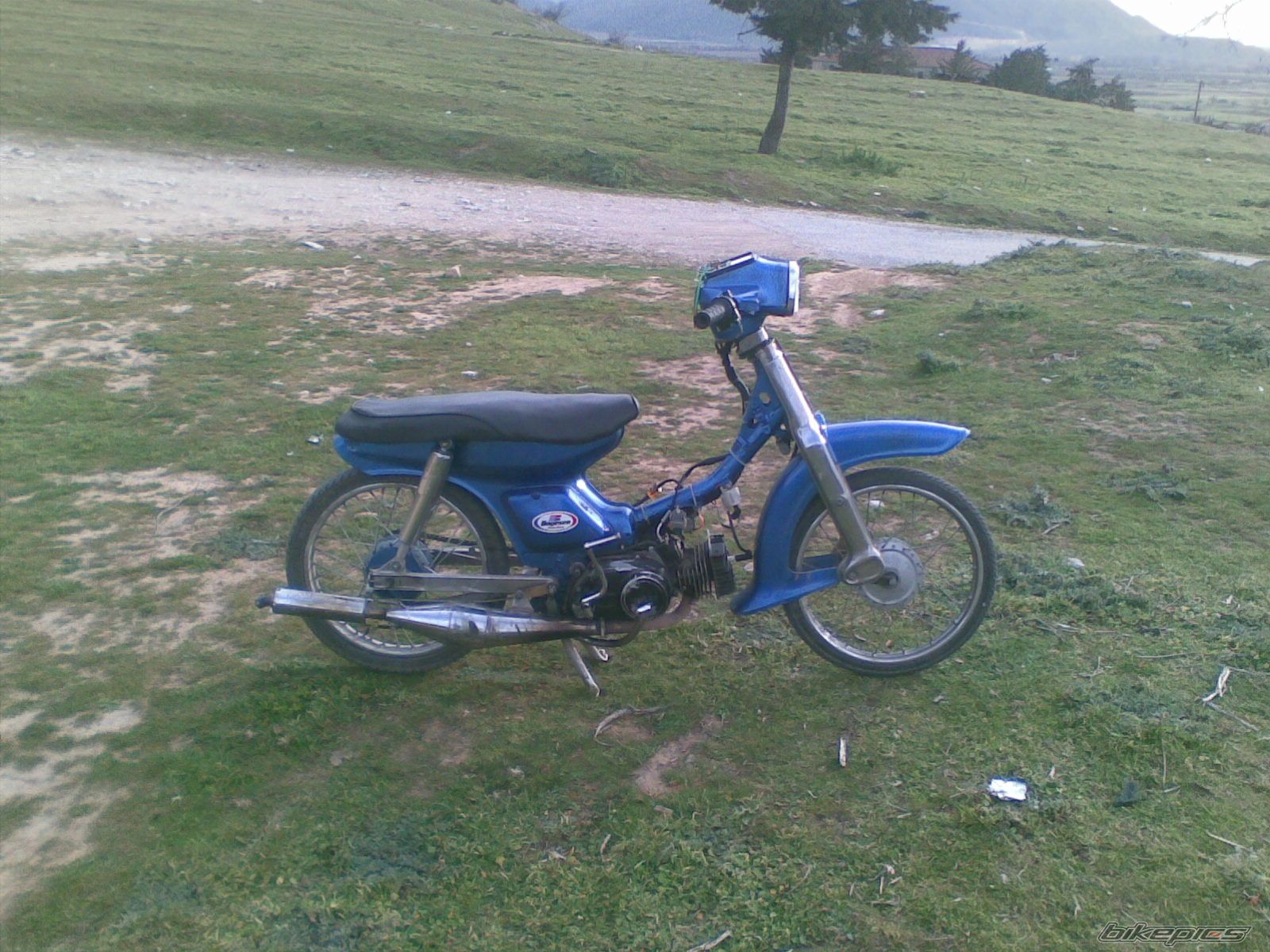 Photo 1595464