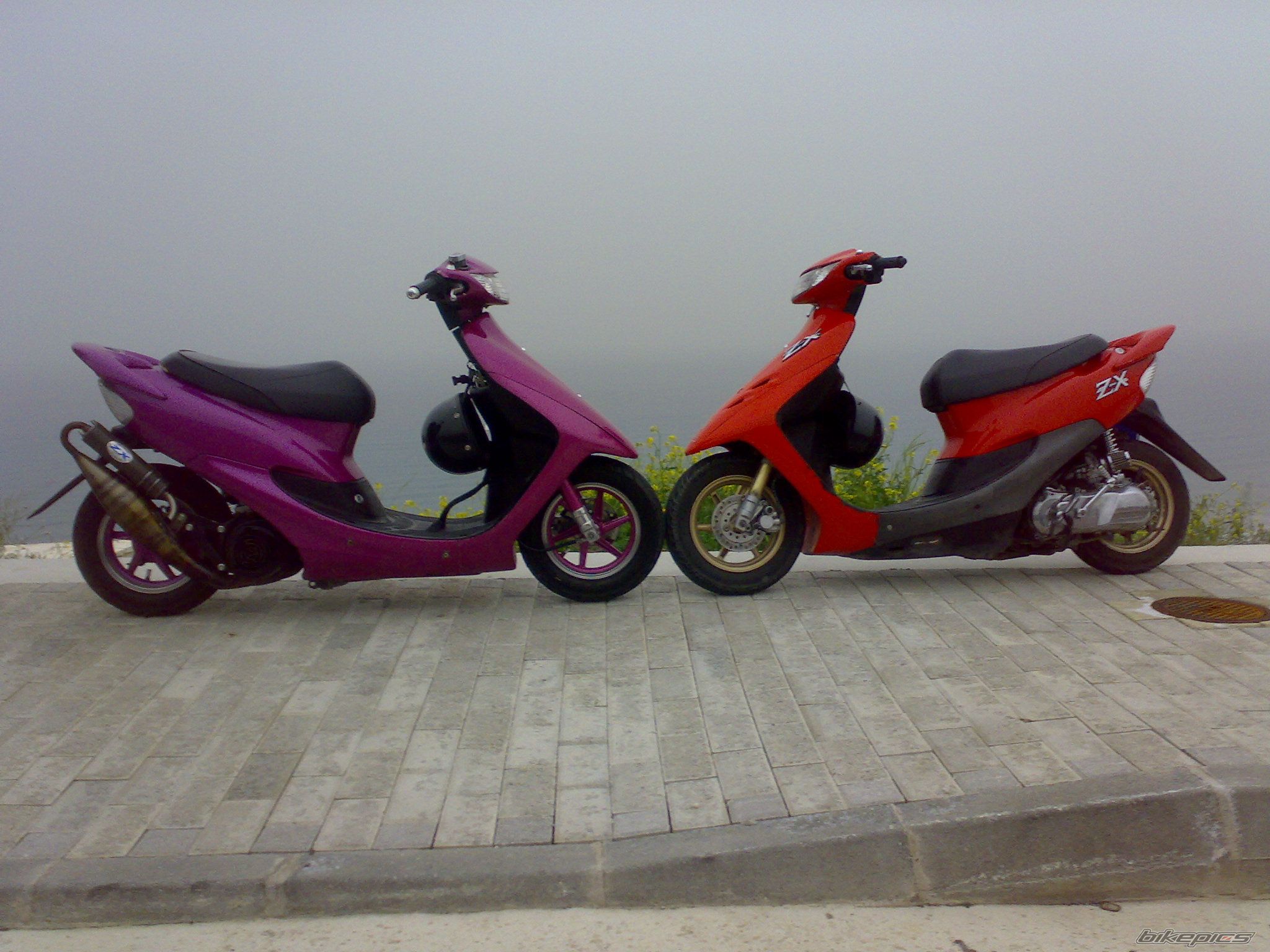 Photo 1595558