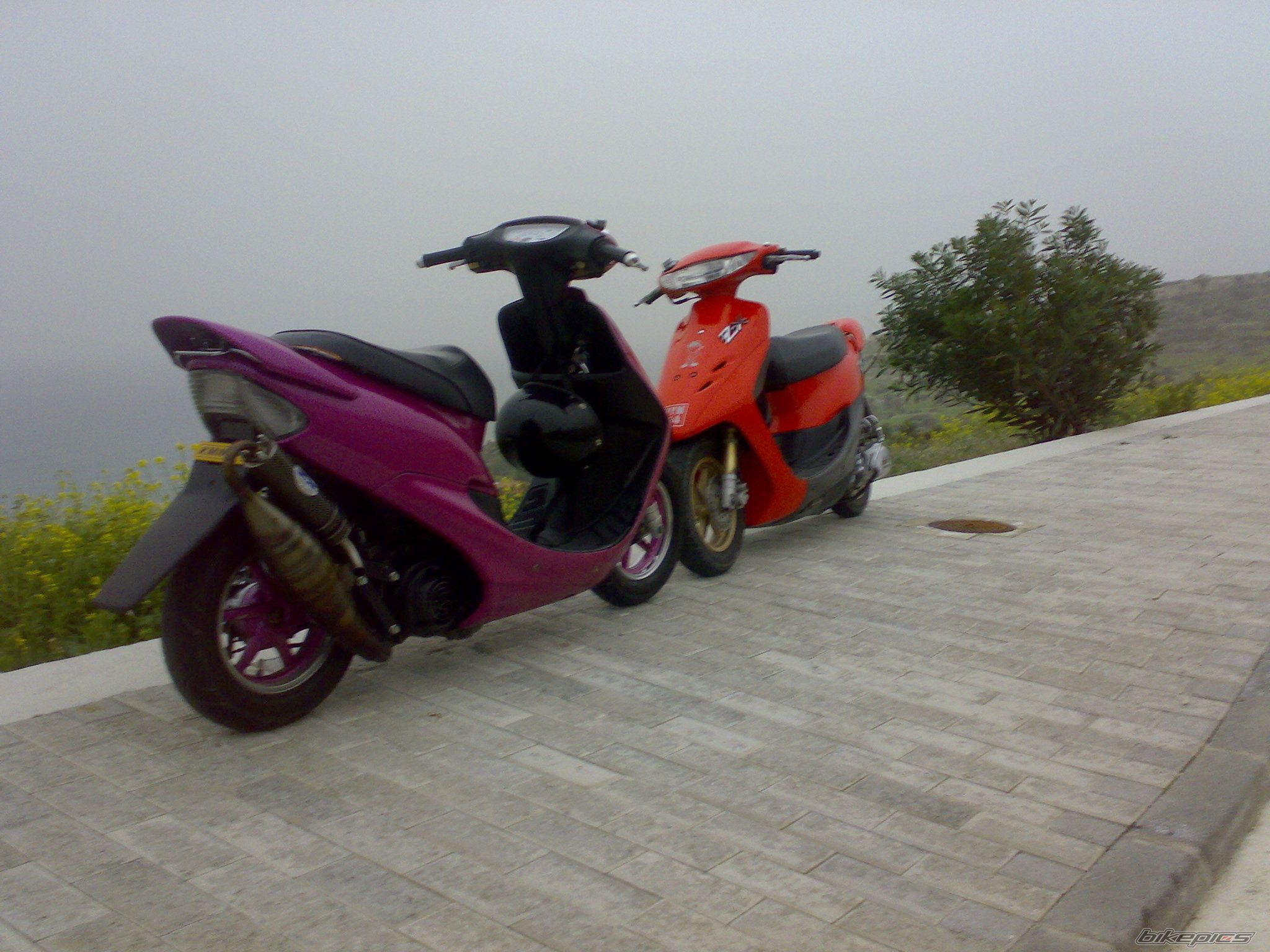 Photo 1595564