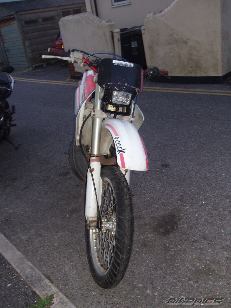 Photo 1595670