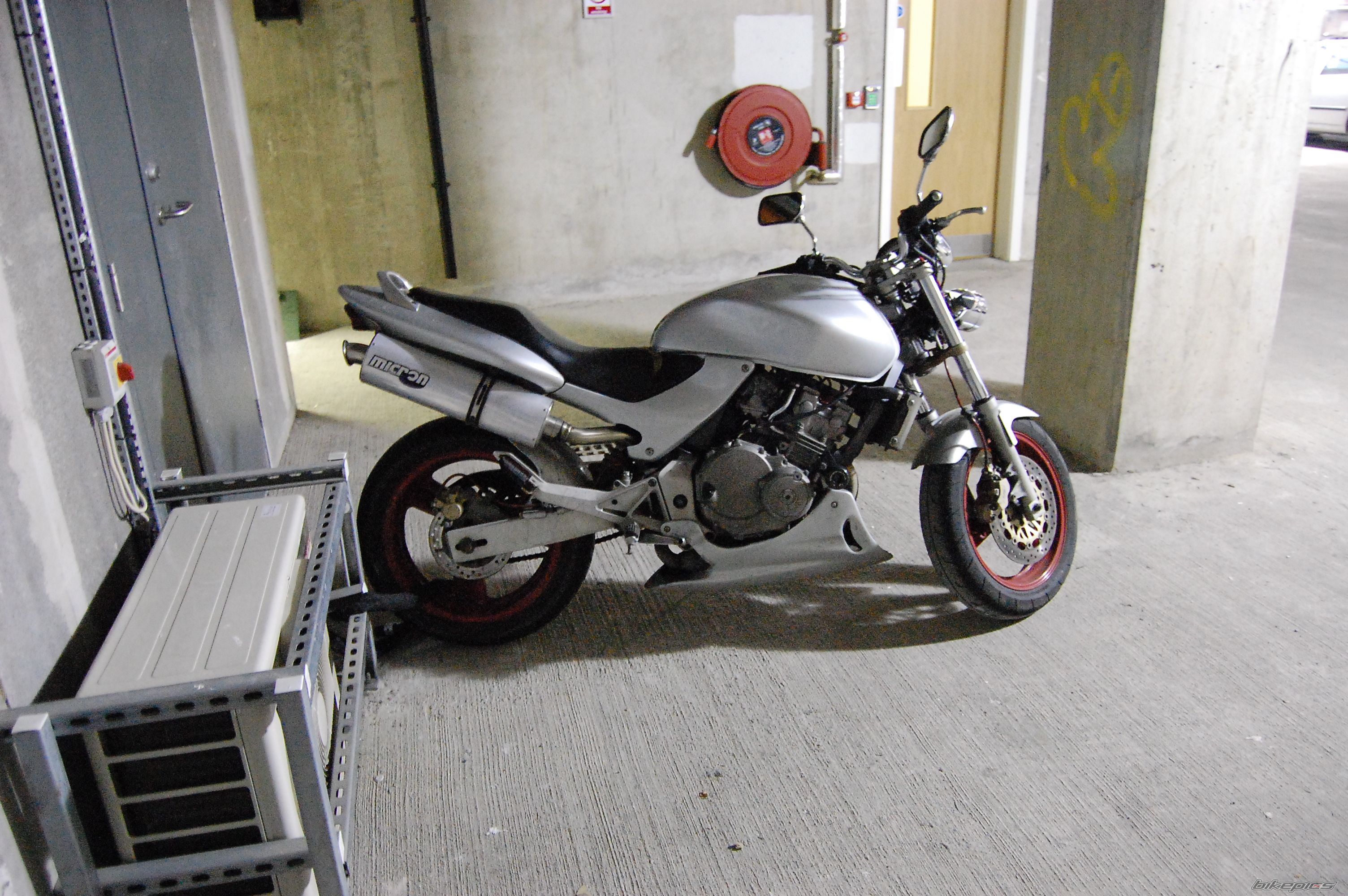 Photo 1595745