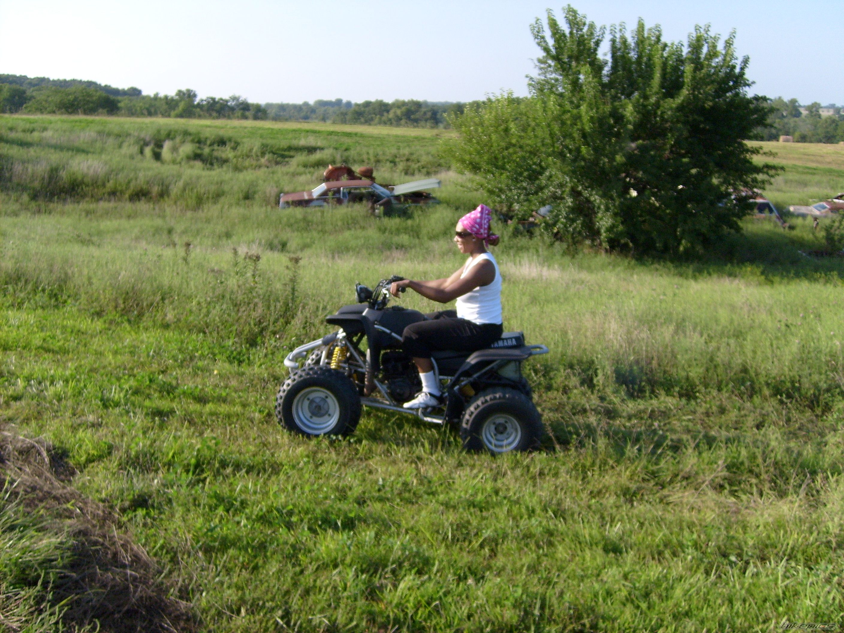 Photo 1595773