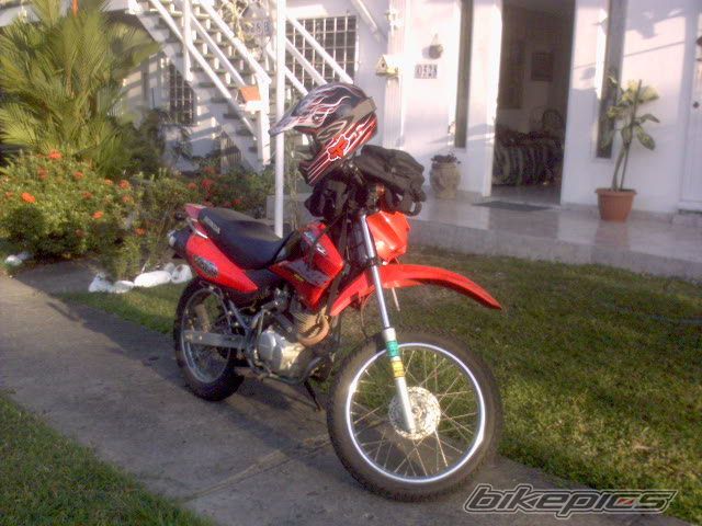 Photo 1595778