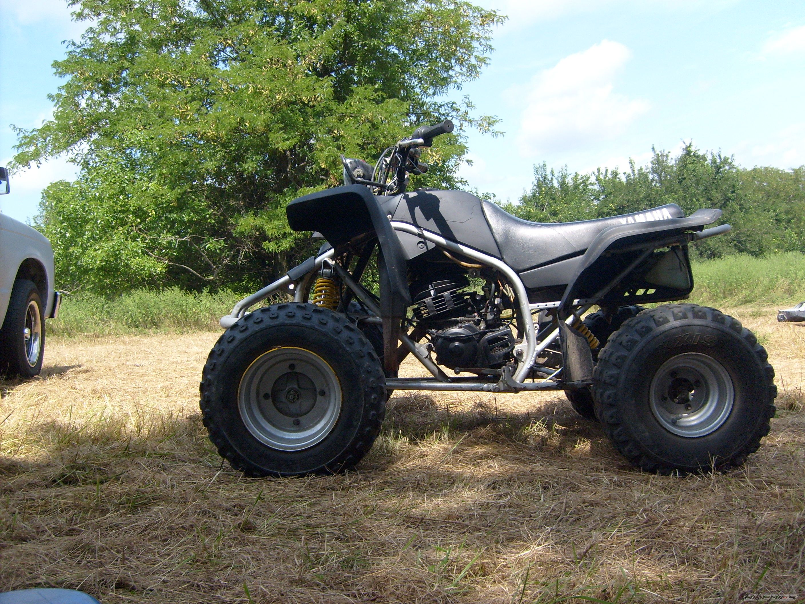 Photo 1595869