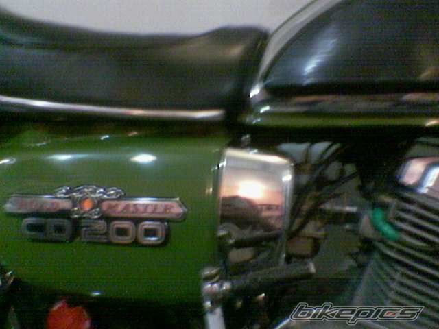 Photo 1595875