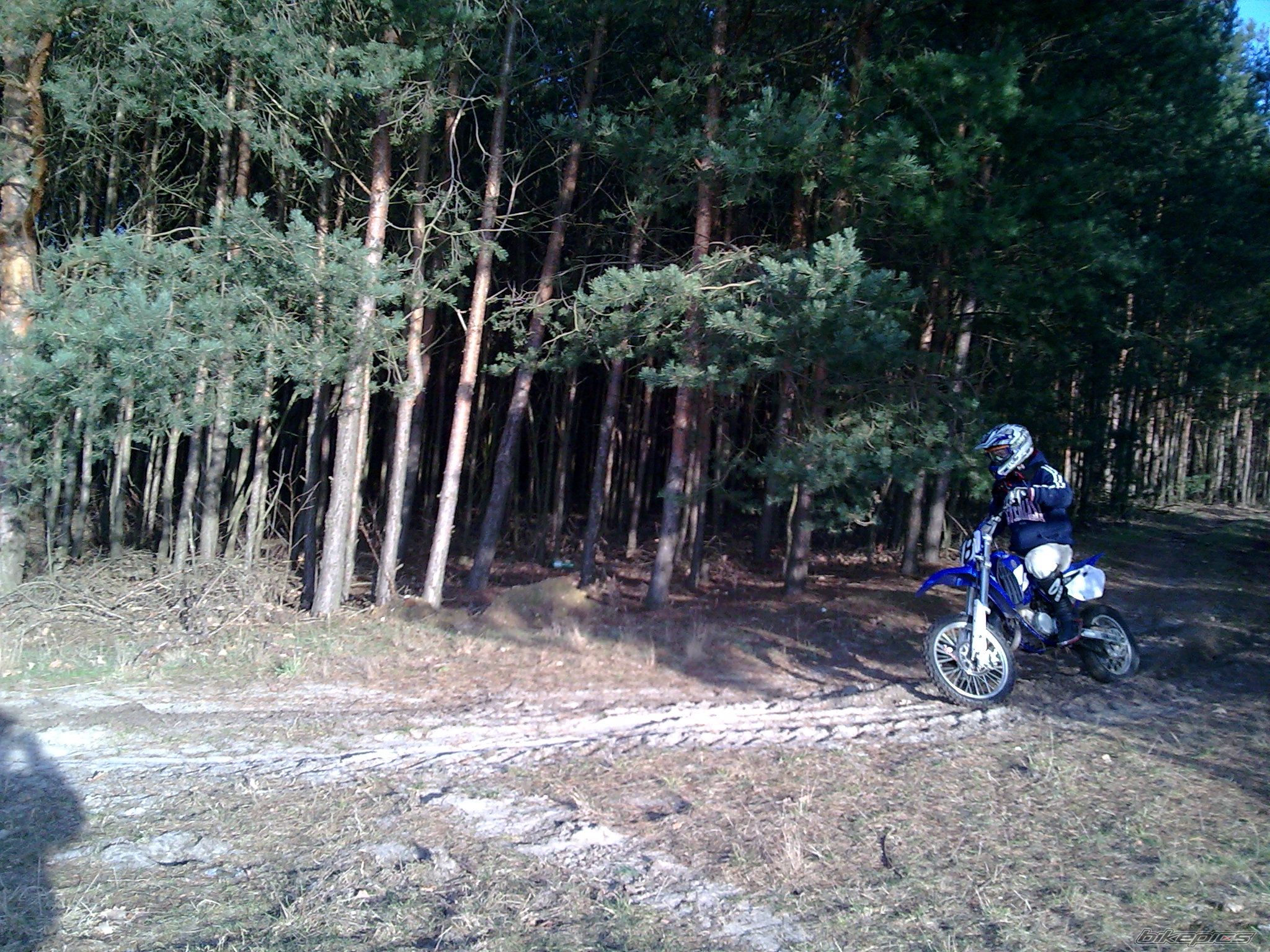 Photo 1595905