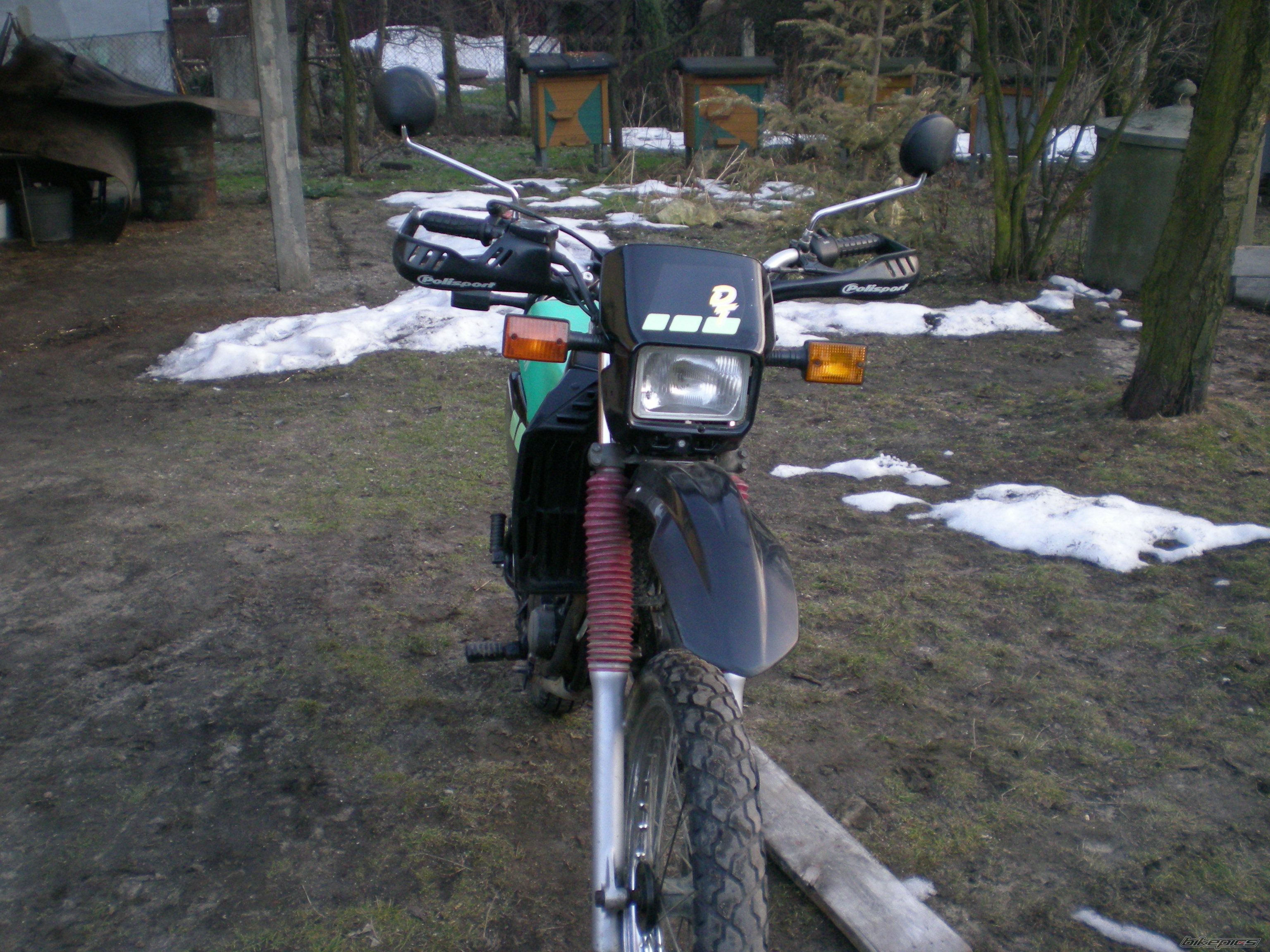 Photo 1595921