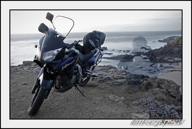 Photo 1595937