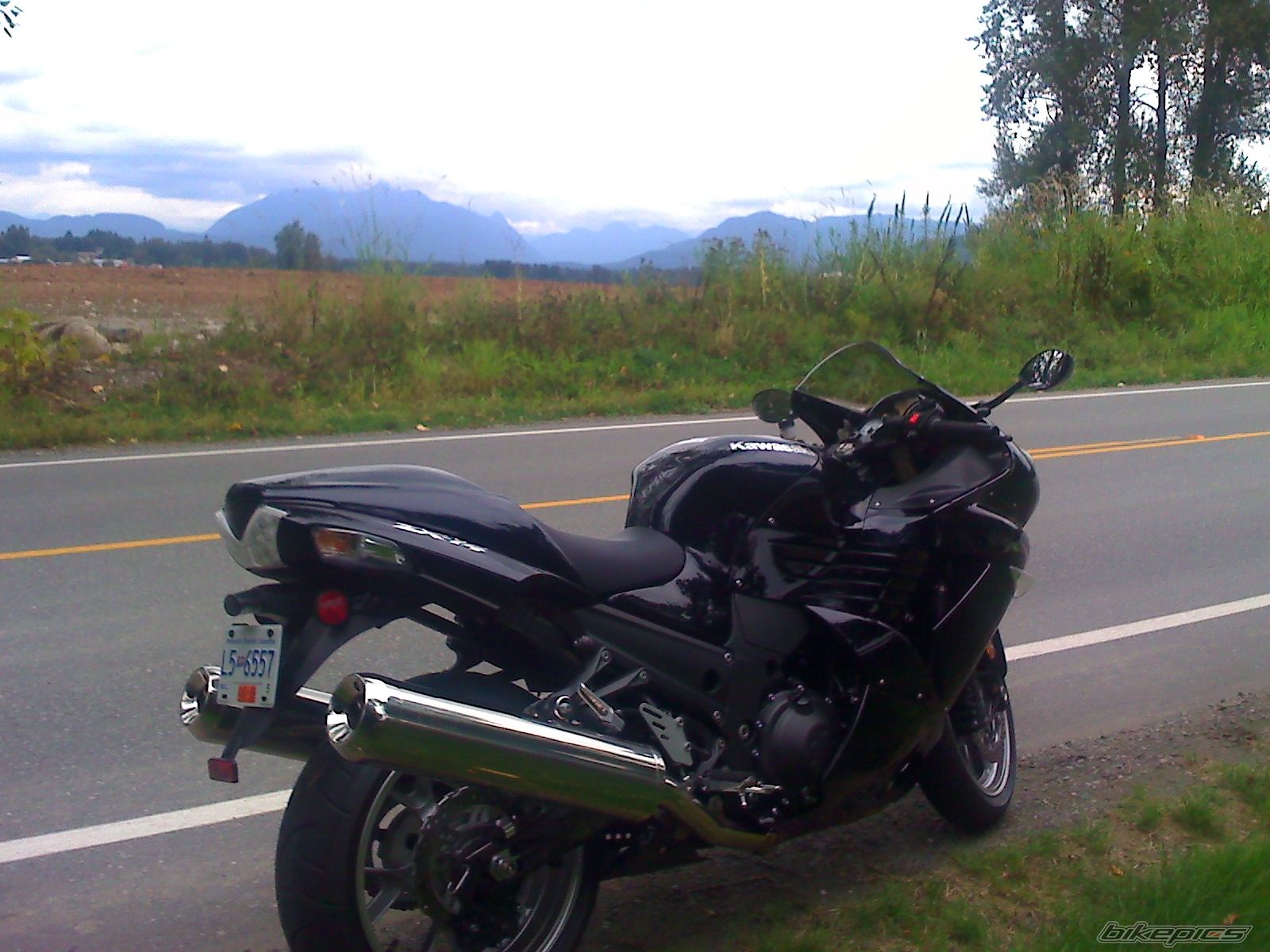 Photo 1595943
