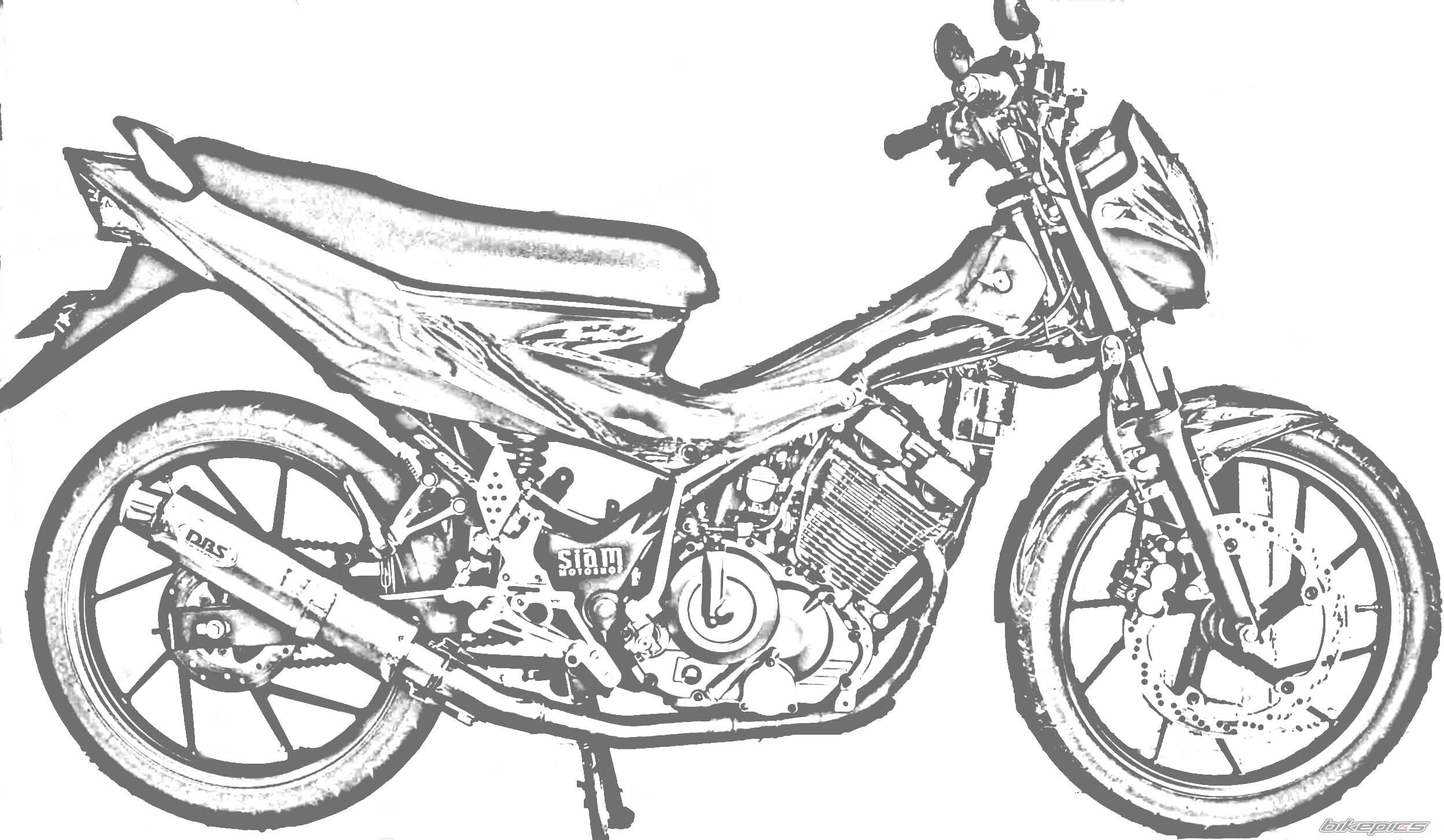 Bike Photo 1596031