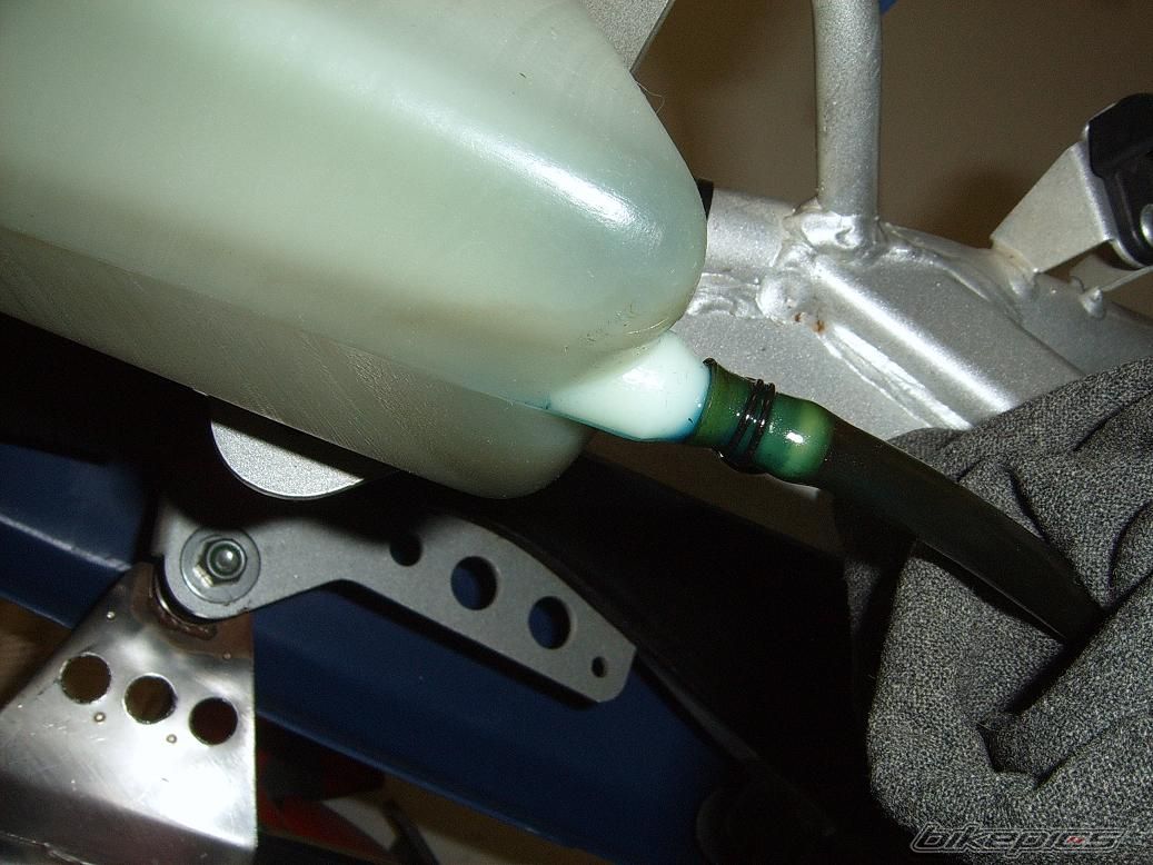 Photo 1596169