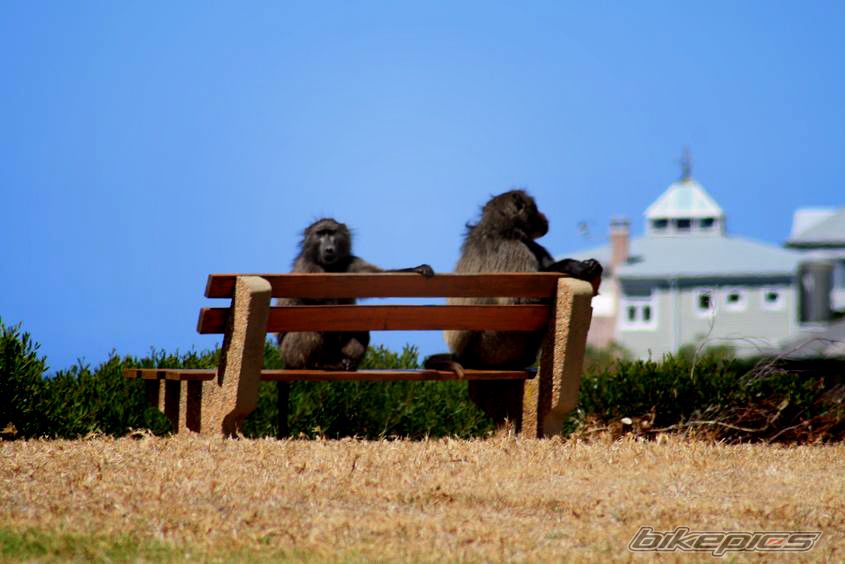 Photo 1596185