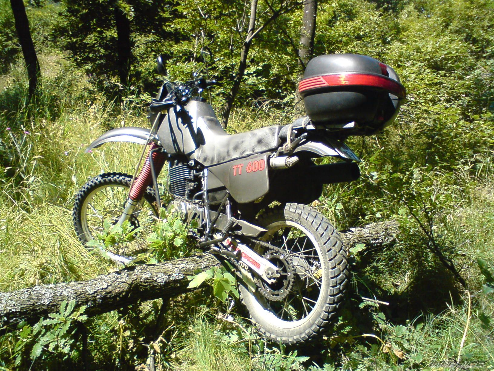 Photo 1596202